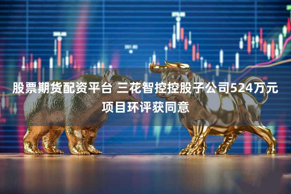 股票期货配资平台 三花智控控股子公司524万元项目环评获同意